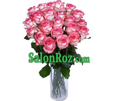 25 roses 25 roses