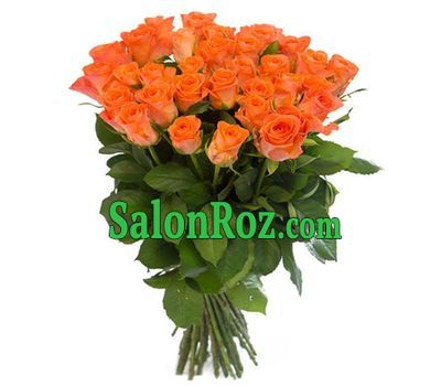 31 orange rose 31 orange rose