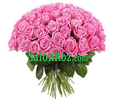 65 pink roses 65 pink roses