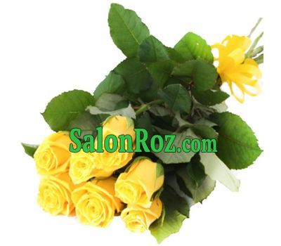 A small bouquet of yellow roses A small bouquet of yellow roses