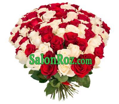 101 red and white imported rose 101 red and white imported rose
