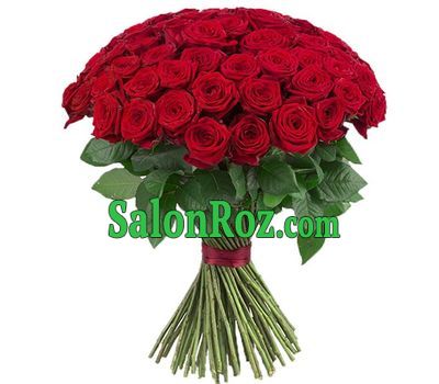 101 red rose 70 cm 101 red rose 70 cm