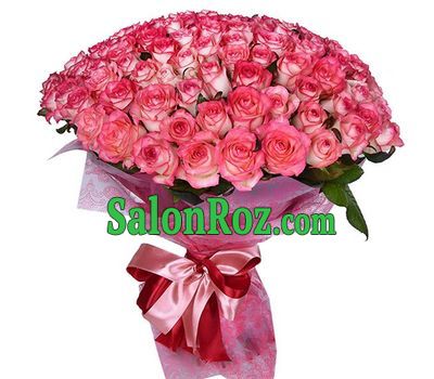 101 unusual rose Giemilia 101 unusual rose Giemilia