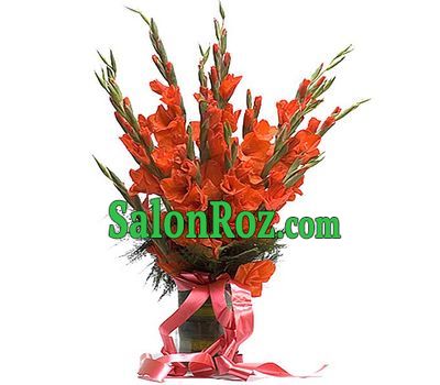 15 Red Gladiolus 15 Red Gladiolus