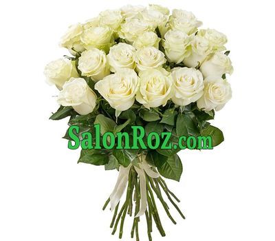 25 white imported roses 25 white imported roses