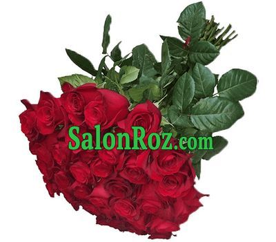 31 red imported rose 31 red imported rose