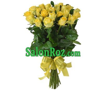31 yellow rose 31 yellow rose