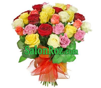 35 beautiful multi-colored roses 35 beautiful multi-colored roses