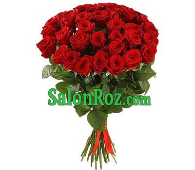 41 red high rose 41 red high rose