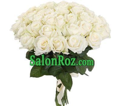 51 white rose 51 white rose