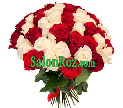 51 red and white imported rose 51 red and white imported rose