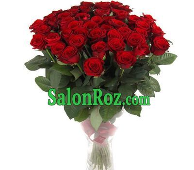 51 red rose 70 cm 51 red rose 70 cm