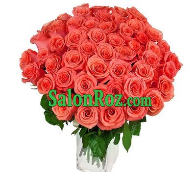 51 orange rose 51 orange rose