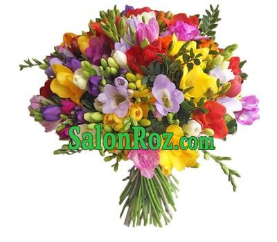 55 exotic freesias 55 exotic freesias