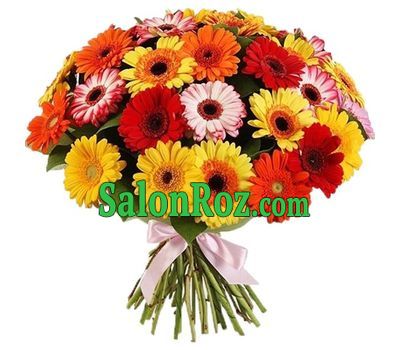 75 varicoloured gerberas 75 varicoloured gerberas