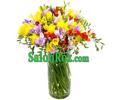 A fragrant bouquet of freesias A fragrant bouquet of freesias