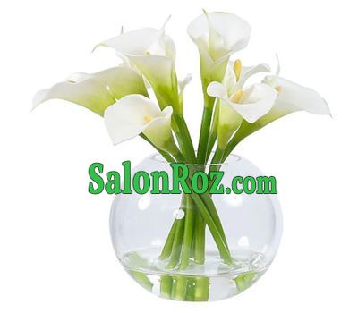 White callas in bouquet White callas in bouquet
