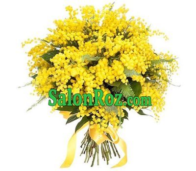 Large bouquet of mimosa Large bouquet of mimosa