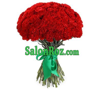 Bouquet of carnations - Houston Bouquet of carnations - Houston