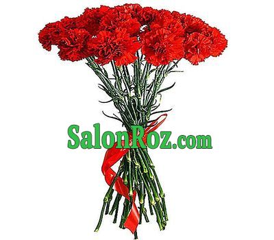 Bouquet of carnations - Victory Bouquet of carnations - Victory