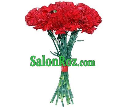 Bouquet of carnations - Riga Bouquet of carnations - Riga