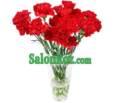 Bouquet of carnations - Jurmala Bouquet of carnations - Jurmala