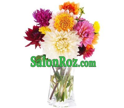 Bouquet of 11 dahlias Bouquet of 11 dahlias