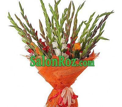 Bouquet of 25 gladioluses Bouquet of 25 gladioluses