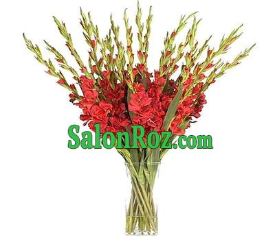 Bouquet of 35 gladioluses Bouquet of 35 gladioluses