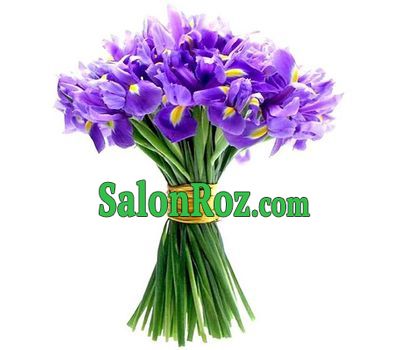 Букет из 41 ириса Букет из 41 ириса