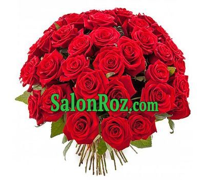 Bouquet of beautiful red roses Bouquet of beautiful red roses