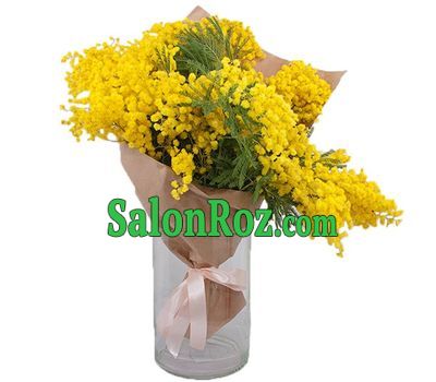A bouquet of mimosa in paper A bouquet of mimosa in paper