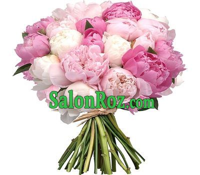 Bouquet of peonies - Weasel Bouquet of peonies - Weasel