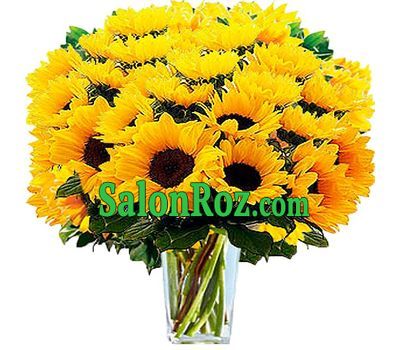 Bouquet of sunflowers - Positive