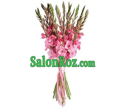 Bouquet of pink gladiolus Bouquet of pink gladiolus