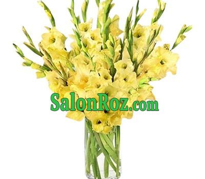 Yellow gladiolus bouquet Yellow gladiolus bouquet