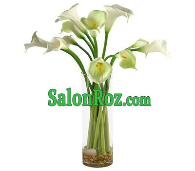 A charming bouquet of 11 callas A charming bouquet of 11 callas