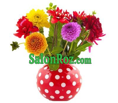 Wonderful dahlias in a bouquet Wonderful dahlias in a bouquet
