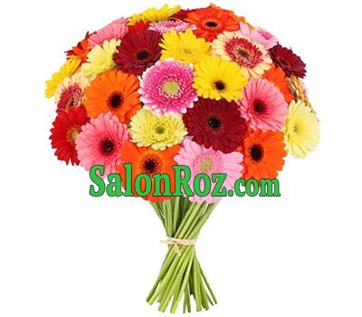 Wonderful bouquet of gerberas Wonderful bouquet of gerberas