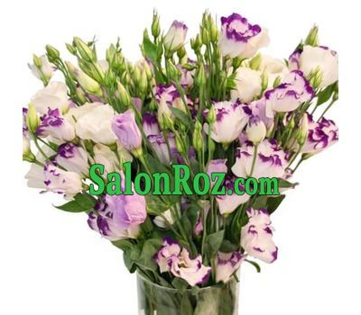 Exclusive bouquet of natural flowers Exclusive bouquet of natural flowers