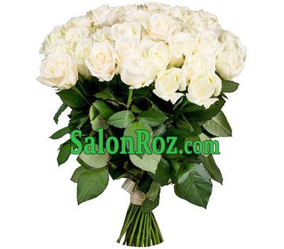 Elegant bouquet of white roses Elegant bouquet of white roses