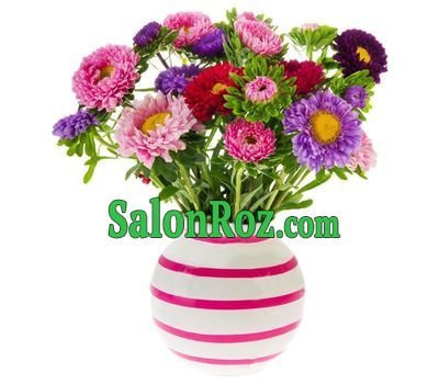 Fantastic bunch aster Fantastic bunch aster