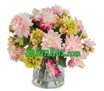 Dahlias for a gift Dahlias for a gift