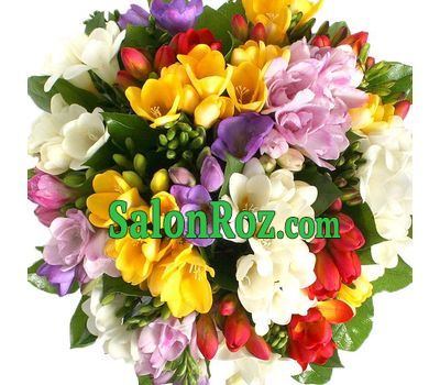 Colorful bouquet of freesias Colorful bouquet of freesias