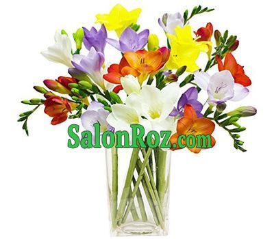 A small bouquet of freesias A small bouquet of freesias