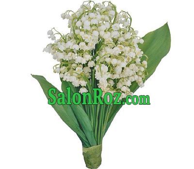 A small bouquet of lilies of the valley A small bouquet of lilies of the valley