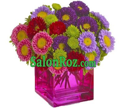 Mixed bouquet aster Mixed bouquet aster
