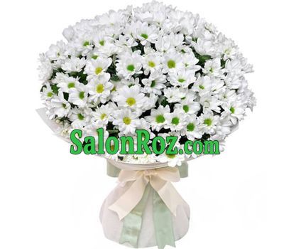 A gentle bouquet of chamomile chrysanthemums A gentle bouquet of chamomile chrysanthemums