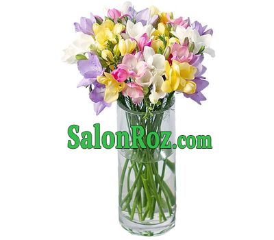 Gentle mix of freesias Gentle mix of freesias