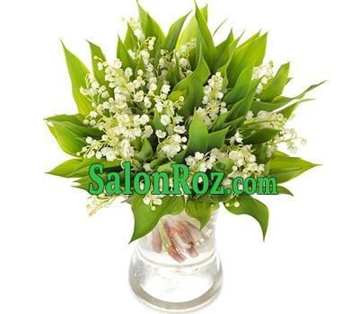 Charming lilies of the valley Charming lilies of the valley